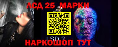 гидропоника Будённовск