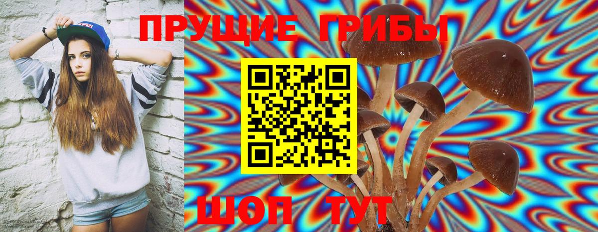 Мефедрон   Кокаин  A PVP СК   Экстази  Марихуана  Курчатов  Гашиш  Вход с VPN 