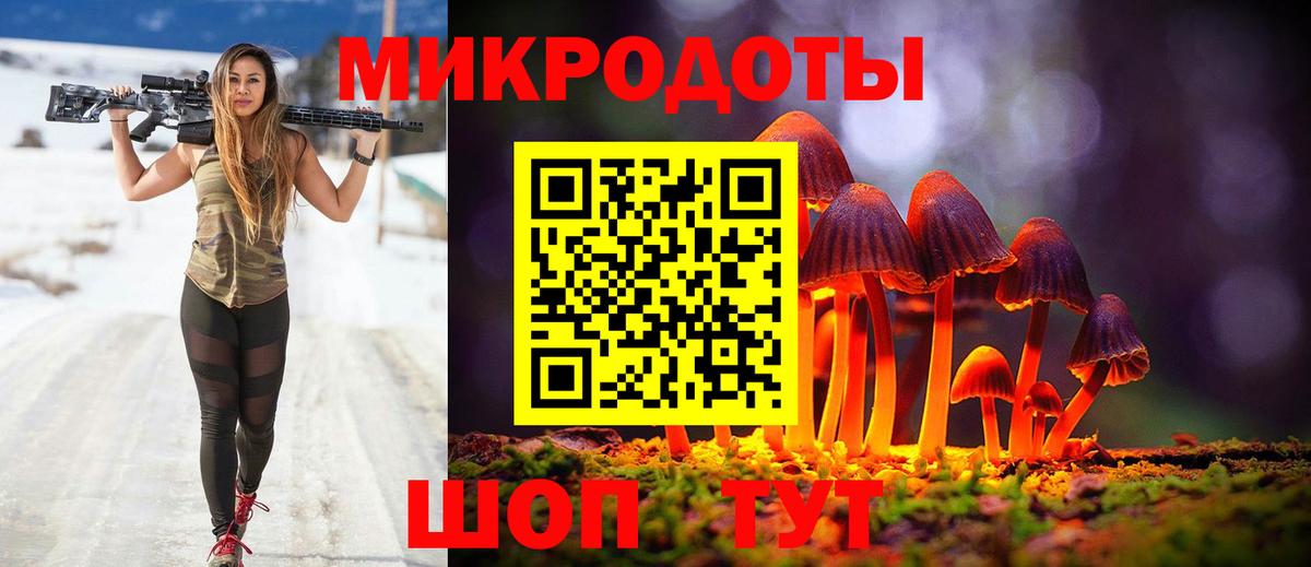 Галлюциногенные грибы Psilocybe Курчатов